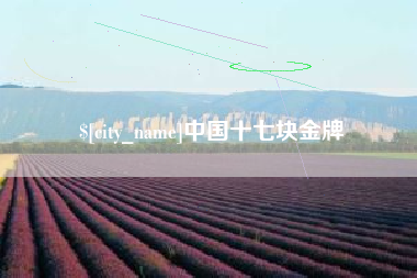 吉安中国十七块金牌