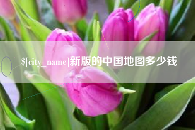 吉安新版的中国地图多少钱
