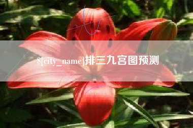吉安排三九宫图预测