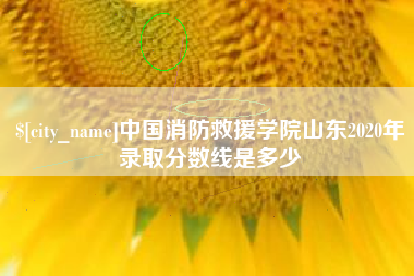 吉安中国消防救援学院山东2020年录取分数线是多少