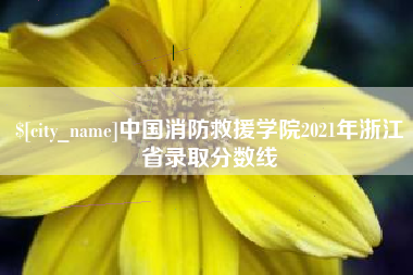 吉安中国消防救援学院2021年浙江省录取分数线