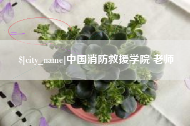 吉安中国消防救援学院 老师