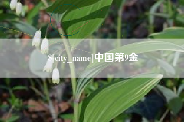 吉安中国第9金