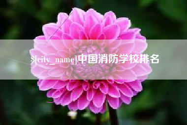 吉安中国消防学校排名