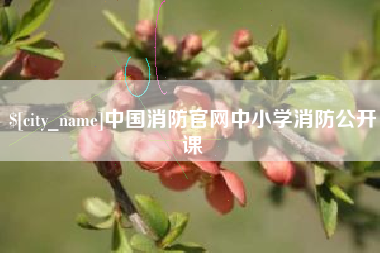 吉安中国消防官网中小学消防公开课