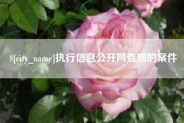 吉安执行信息公开网查到的案件