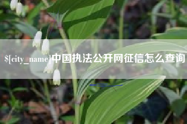 吉安中国执法公开网征信怎么查询