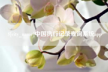 吉安中国执行记录查询系统app
