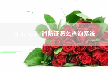 吉安消防证怎么查询系统