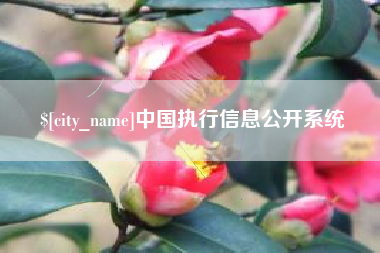 吉安中国执行信息公开系统