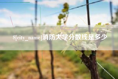吉安消防大学分数线是多少