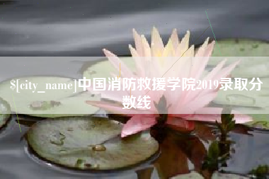 吉安中国消防救援学院2019录取分数线