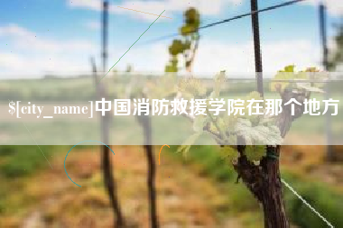 吉安中国消防救援学院在那个地方