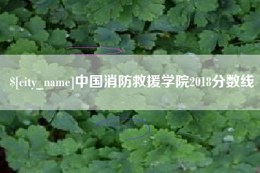 吉安中国消防救援学院2018分数线