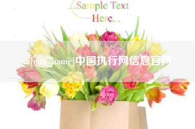 吉安中国执行网信息官网