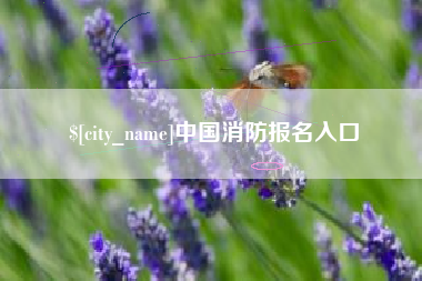 吉安中国消防报名入口