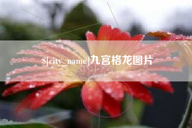 吉安九宫格龙图片