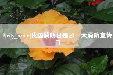 吉安我国消防日是哪一天消防宣传日