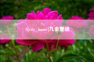 吉安九金是谁