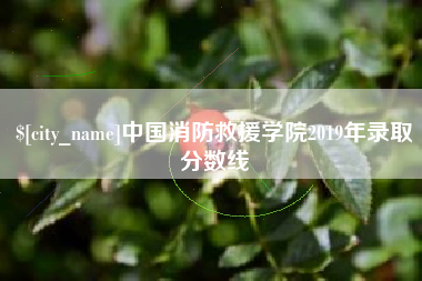 吉安中国消防救援学院2019年录取分数线