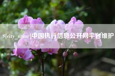 吉安中国执行信息公开网平台维护