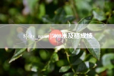 吉安5000米及格成绩