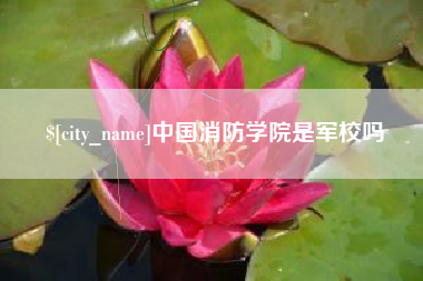吉安中国消防学院是军校吗