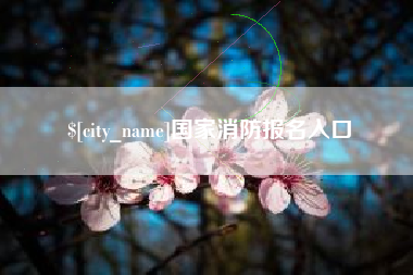 吉安国家消防报名入口