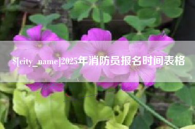 吉安2025年消防员报名时间表格