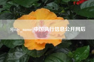 吉安中国执行信息公开网后