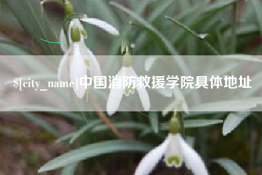 吉安中国消防救援学院具体地址