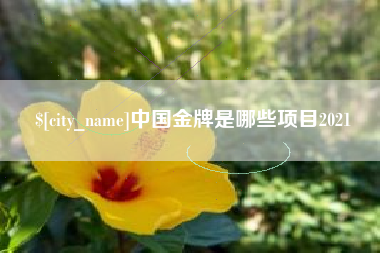 吉安中国金牌是哪些项目2021