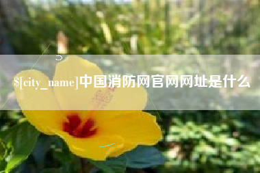 吉安中国消防网官网网址是什么