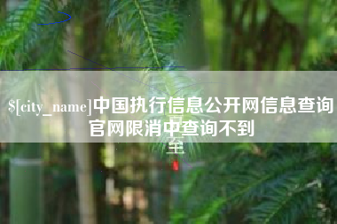 吉安中国执行信息公开网信息查询官网限消中查询不到