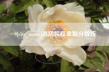 吉安消防院校录取分数线