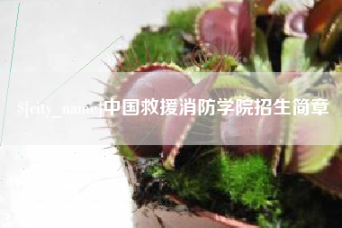 吉安中国救援消防学院招生简章