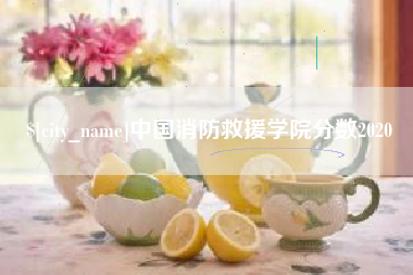 吉安中国消防救援学院分数2020