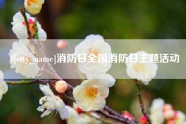 吉安消防日全国消防日主题活动