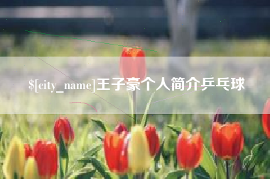 吉安王子豪个人简介乒乓球