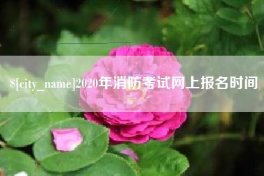 吉安2020年消防考试网上报名时间
