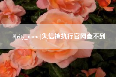 吉安失信被执行官网查不到