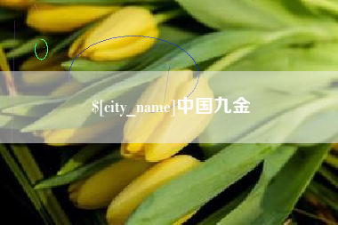 吉安中国九金