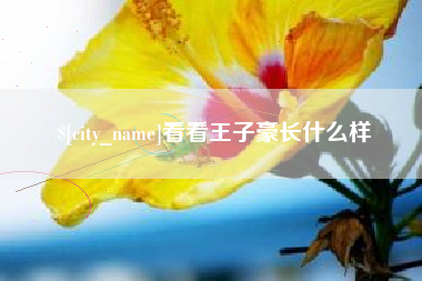 吉安看看王子豪长什么样
