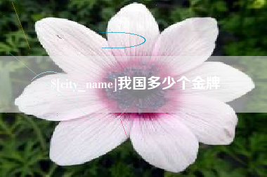 吉安我国多少个金牌