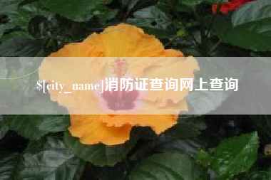 吉安消防证查询网上查询