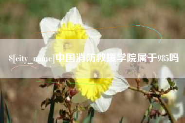 吉安中国消防救援学院属于985吗