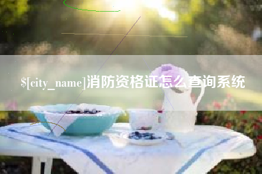 吉安消防资格证怎么查询系统
