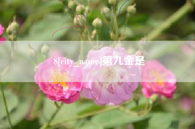 吉安第九金是