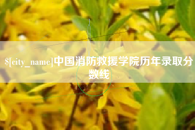 吉安中国消防救援学院历年录取分数线
