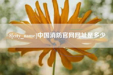 吉安中国消防官网网址是多少